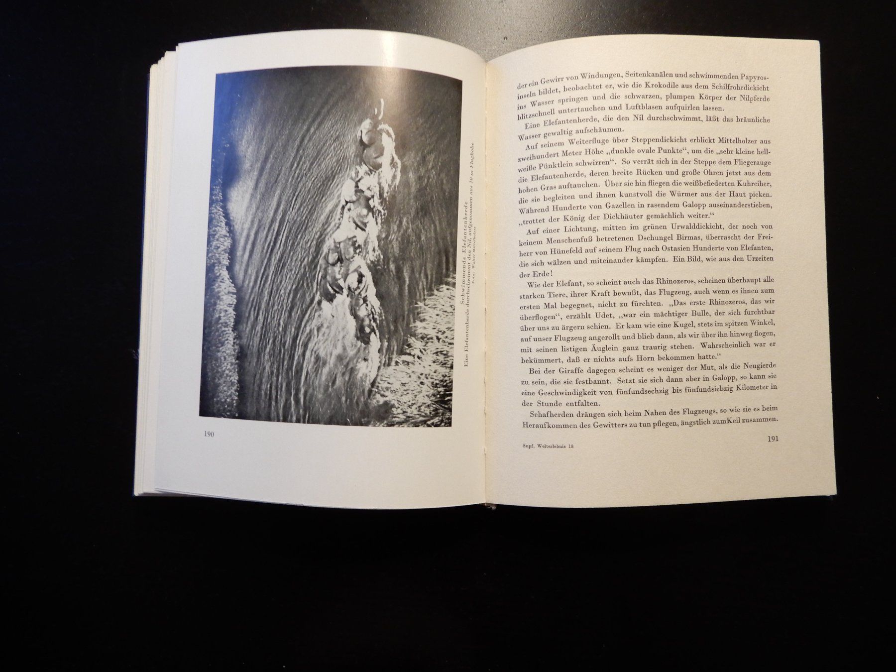 Libri: Peter Supp "Das neue Welterlebnis" 1932 – Usato da Erstfeld venduto da Mario_boe0 8