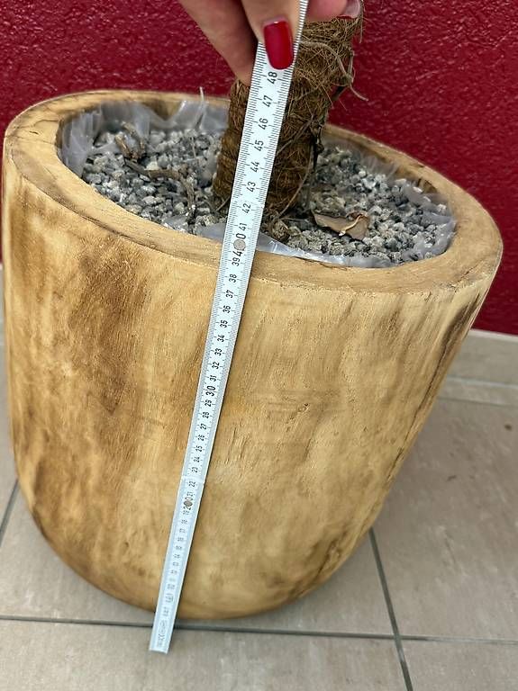 Vasi per fiori: Holz Pflanzentopf – Usato da Fribourg venduto da 1thaila