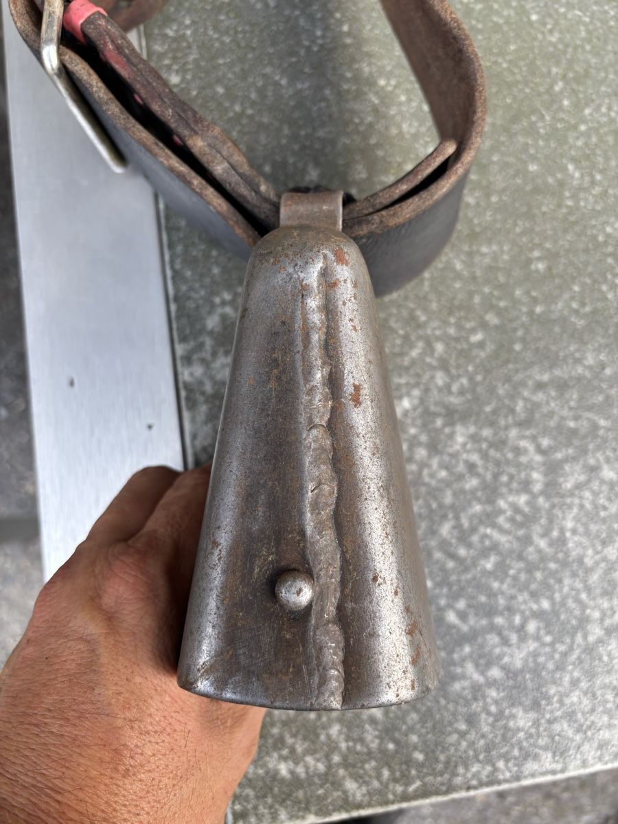 Glocken & Treicheln: Bisse ASM NR 4. – Gebraucht aus Schangnau von Roseggli82 3