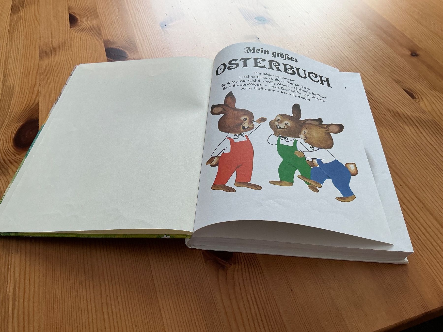 Libri: MEIN GROSSES OSTERBUCH – Usato da Aesch BL venduto da Fortexx 5