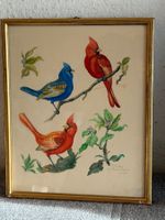 Gemälde Vögel E. Mathys signiert 1960 gebrauchter Zustand