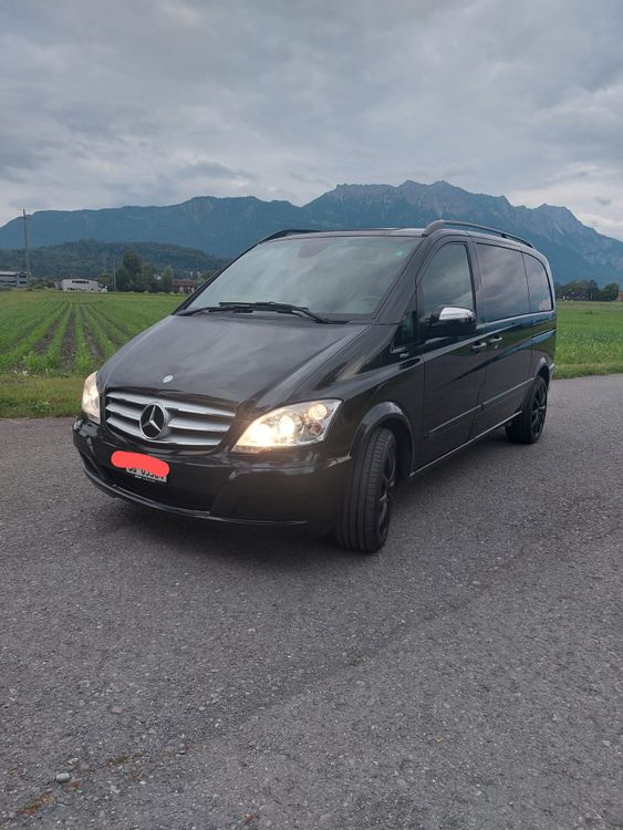 Mercedes Viano