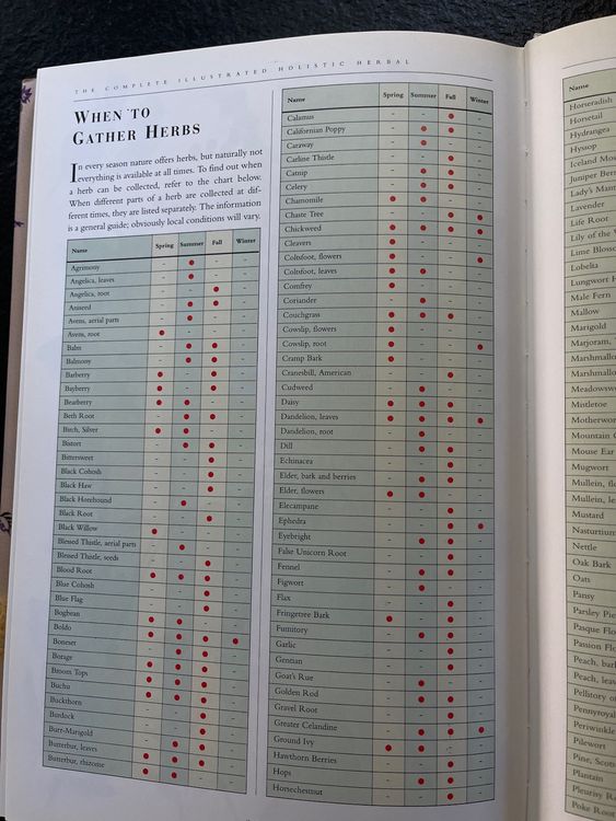 Holistic Herbal Book v. David Hoffmann fürs TCMWartezimmer Kaufen