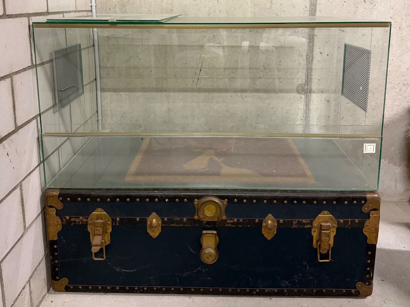 Terrario: Hamsterkäfig / Glasterrarium – Usato da Meilen venduto da ninoushka
