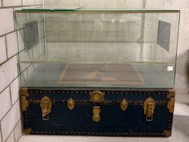 Hamsterkäfig / Glasterrarium