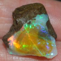 Edelstein L-8007 – Äthiopischer Feuer Opal 21x18mm 19.35 Kar