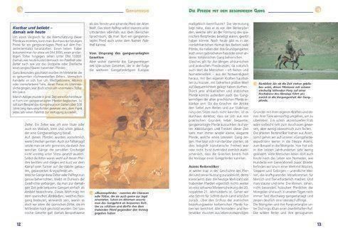 Libri: Ponys & Kleinpferde – Nuovo (secondo la descrizione) da Sarnen venduto da Livres 2