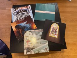 5 LPs The Alan Parsons Project Vinyl Schallplatten Konvolut