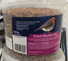 Mehlwürmer Eimer 900g