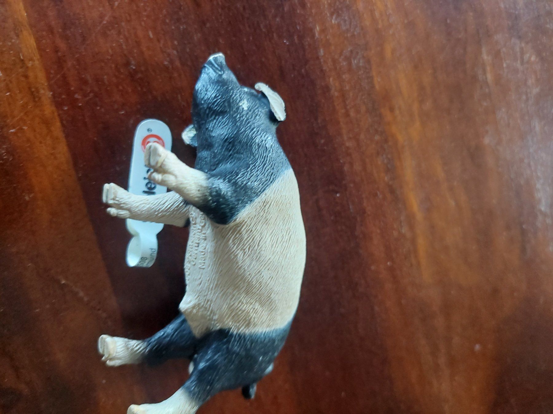 Schleich Spielzeuge: Schleich Schwein – Neu und originalverpackt aus Beckenried von Havacola 4