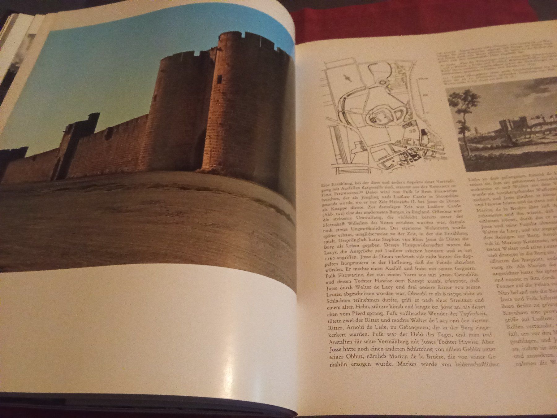 Libri: William Anderson: Burgen Europas – Usato da Remetschwil venduto da Privatflohmi 9