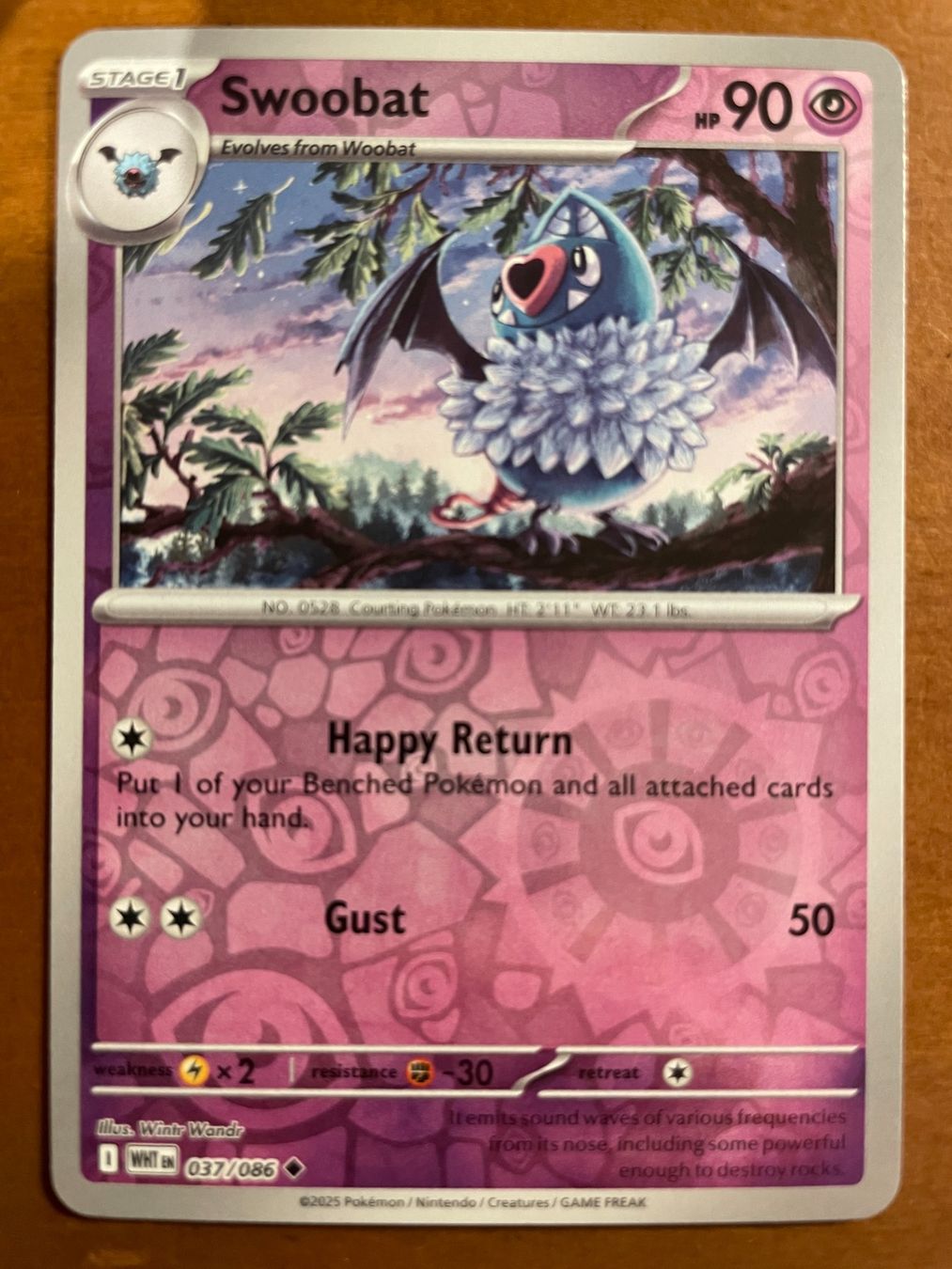 Pokémon Carte collezionabili: Pokemon Swoobat Reverse (Versand gratis) – Nuovo (secondo la descrizione) da Chur venduto da Angerson