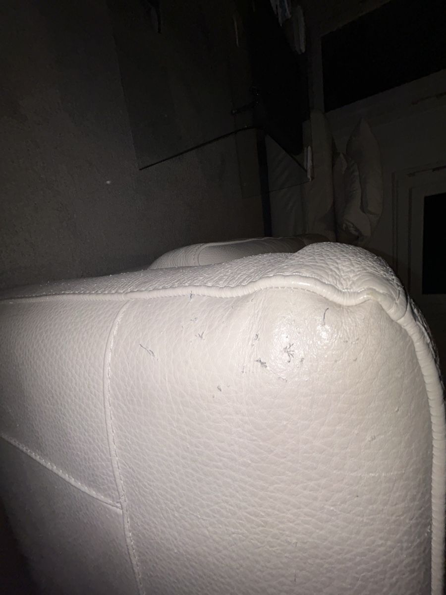 Divani: Sofa – Usato da Luzern venduto da Janoru 1