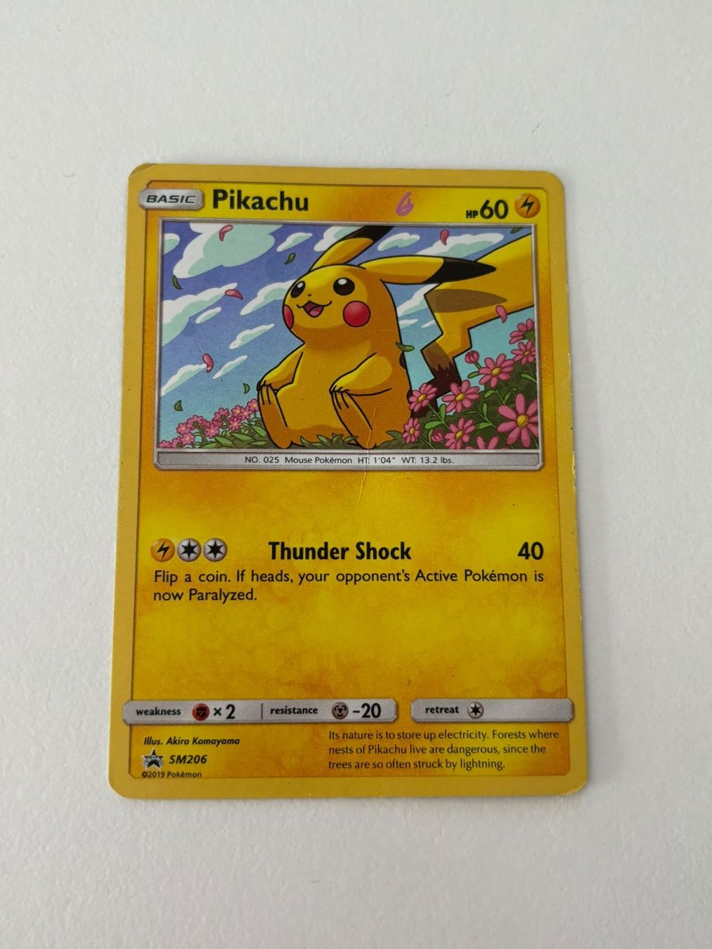Pokémon Sammelbilder & Trading cards: Pokemon Pikachu SM206 – Gebraucht aus Herisau von Pokemon2025