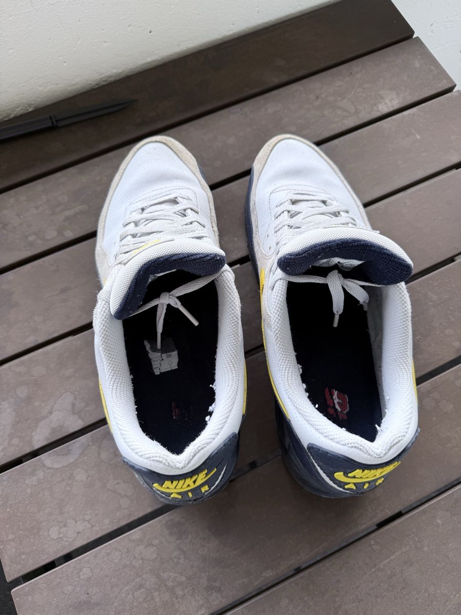 Scarpe da uomo: Air Max 90 – Usato da Renan BE venduto da Meh1983 1