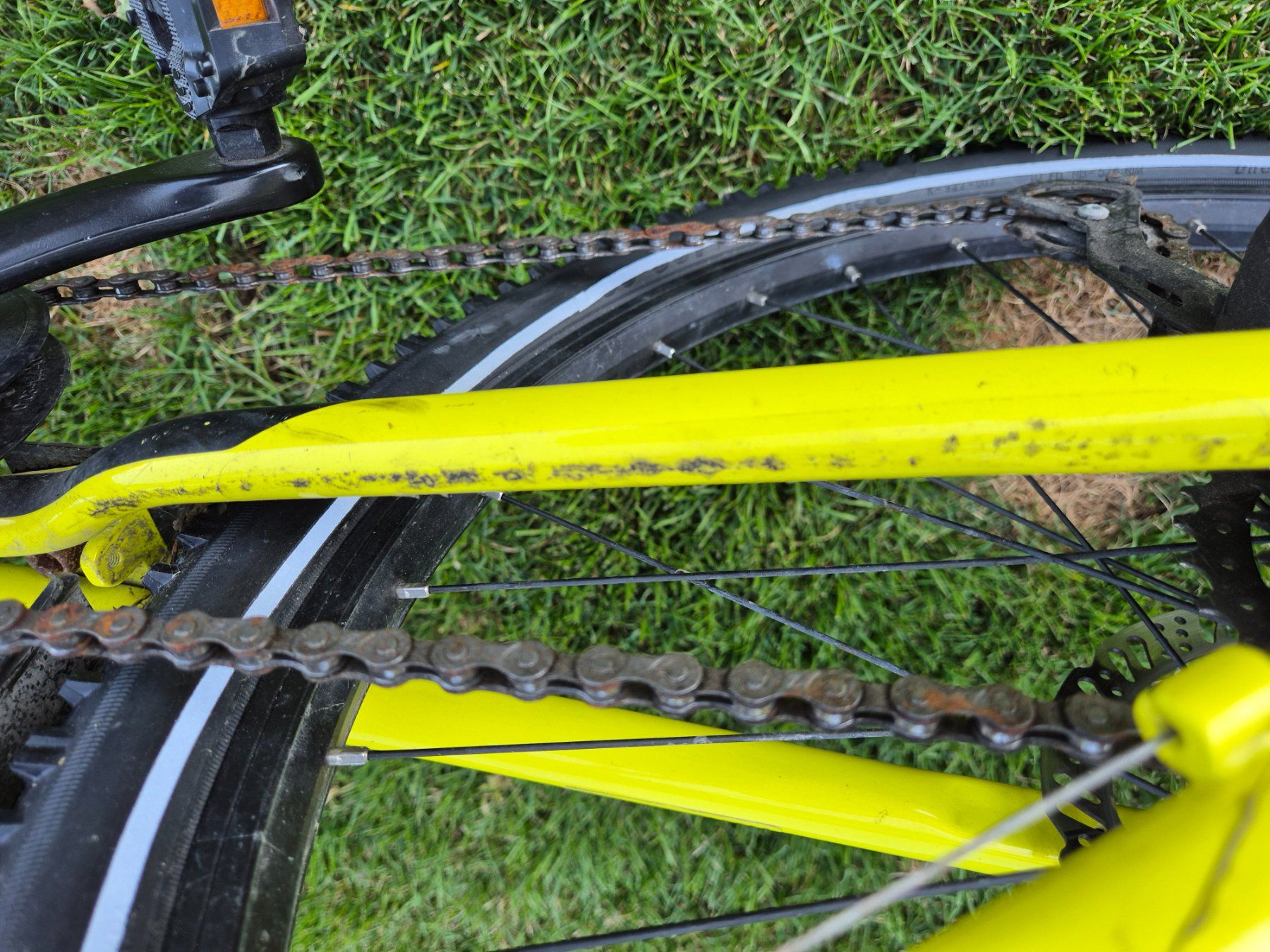 Scott Biciclette: Scott Junior MTB 24 Zoll – Usato da Wimmis venduto da alex_ritterin 4