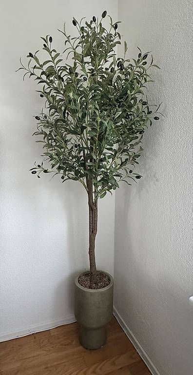 Piante & sementi: Künstlicher Olivenbaum – Usato da Zürich venduto da deb_3456