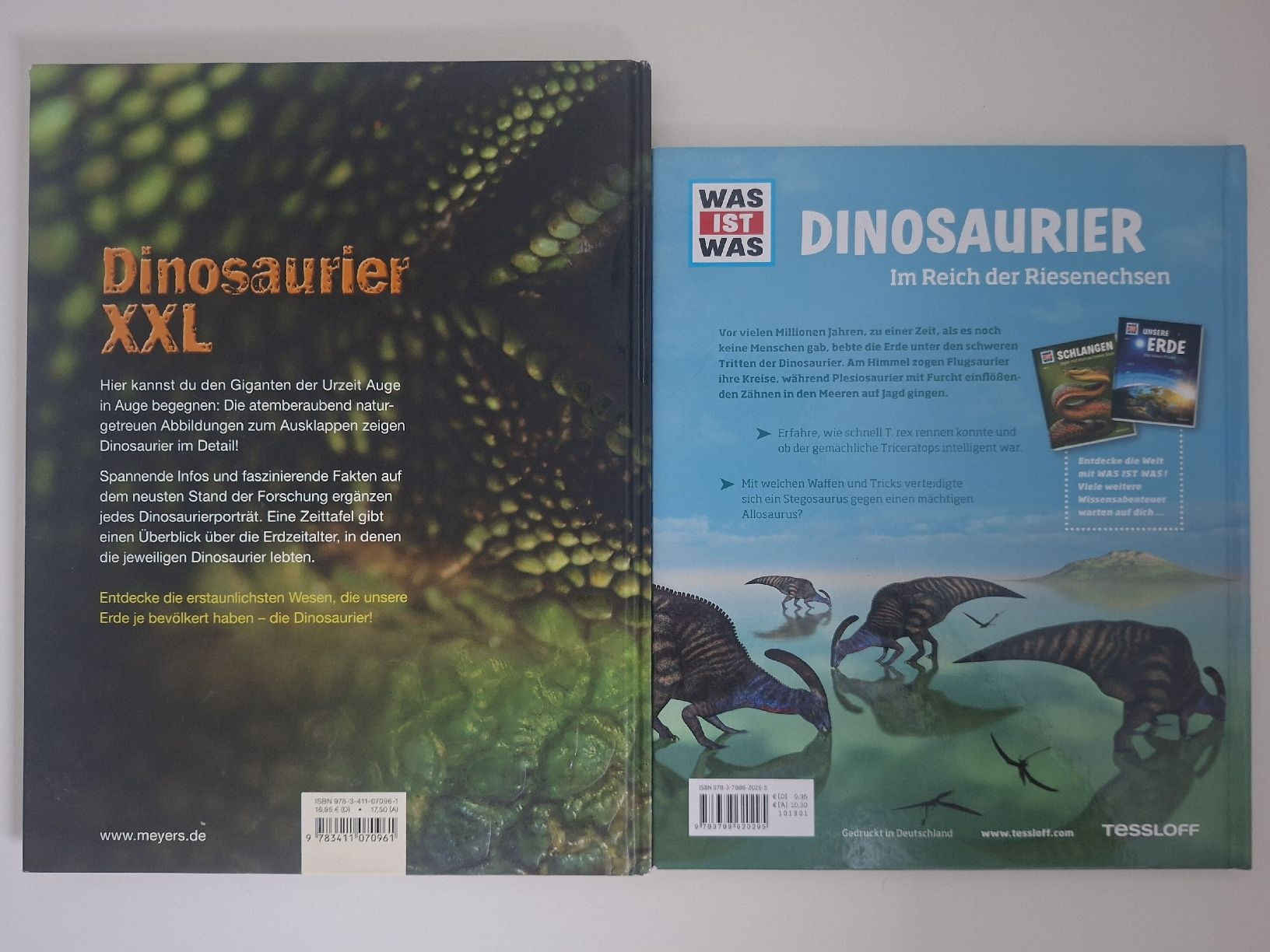 Giocattoli: Dino-Bundle inkl. Expertenbox, Bücher und Sammelfigur – Usato da Pieterlen venduto da jak_c2lj 6