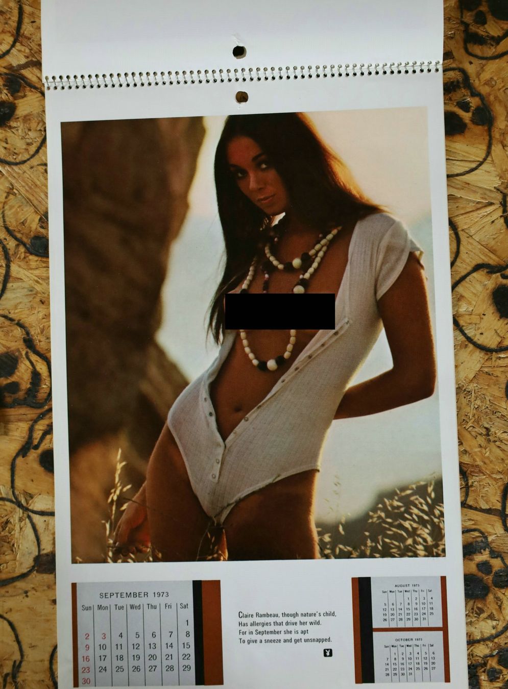 Playboy Calendari: PLAYBOY Kalender 1973 – Usato da Birrwil venduto da brandschatz_birrwil 7