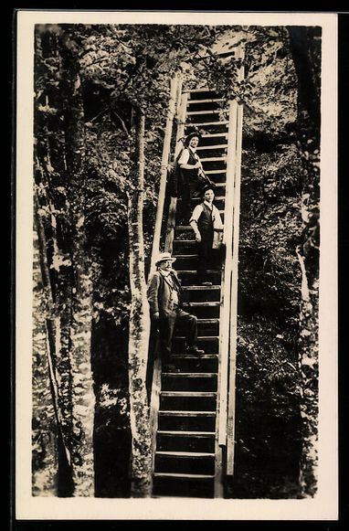 Cartoline postali: AK Uetliberg, Leiterli mit Wanderern – Usato da Berlin venduto da bartko-reher