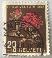 Nr.J 127 Alpenrose 1948 mit Stempel   