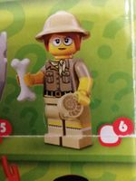 Lego Minifigur Serie 13 - Nr.6