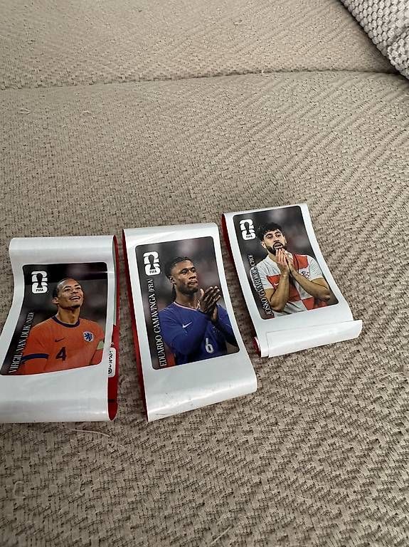 Sammelbilder & Trading cards: Panini – Gebraucht aus Zürich von Gregorycar