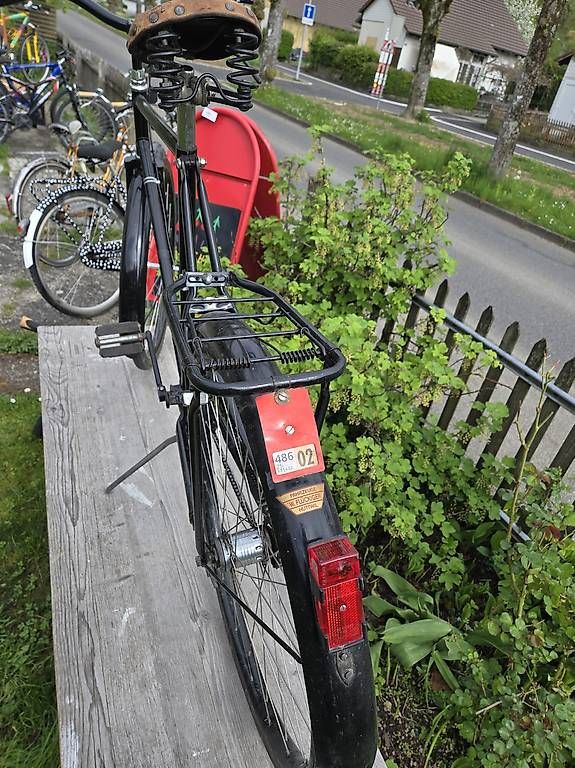 Biciclette: Zeughausvelo Diana – Usato da Biel/Bienne venduto da Rouf7 3