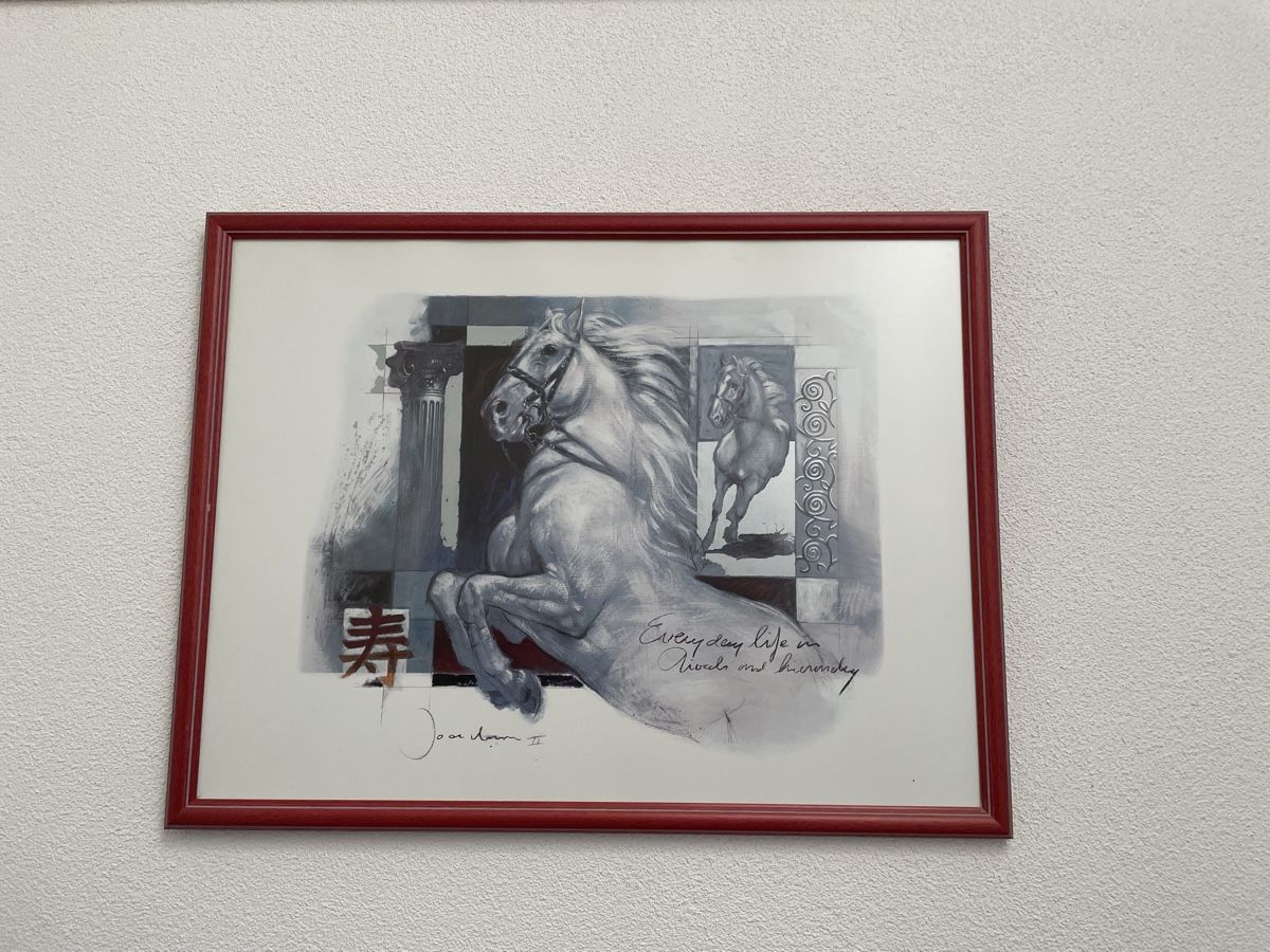 Foto & Immagini: Bild gerahmt  – Usato da Schalchen venduto da evy_7wrt