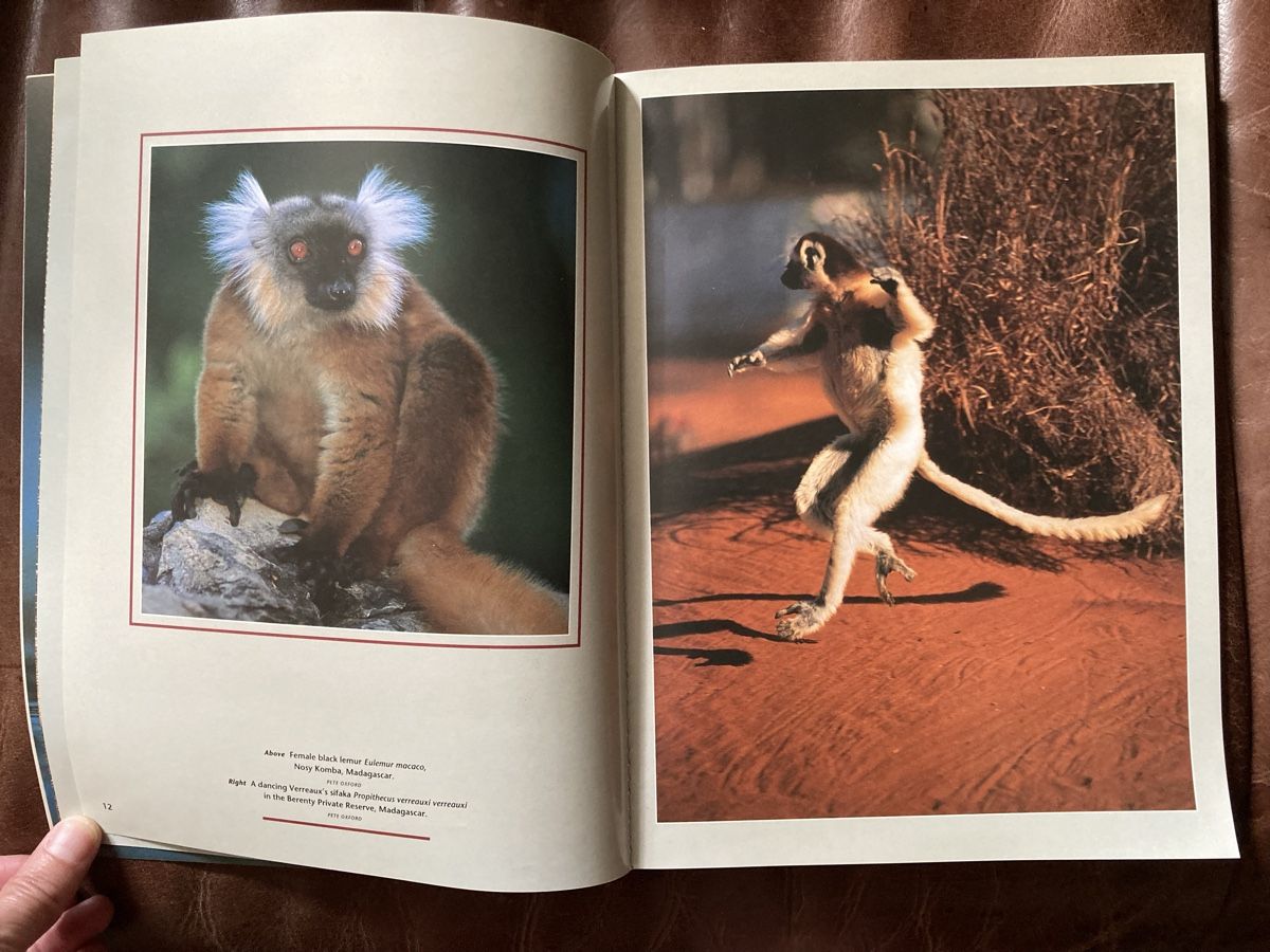 Riviste & Magazine: Fotozeitschrift aus Südafrika – Usato da Bolligen venduto da abara1 3