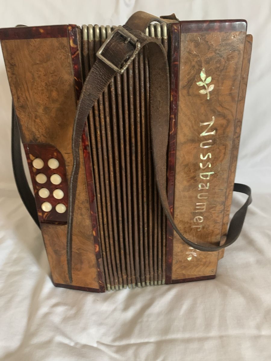 Strumenti musicali: Diatonische Handorgel – Usato da Zürich venduto da Olimpied 7