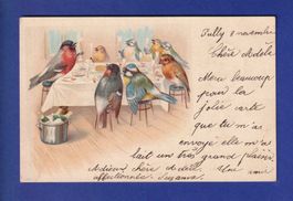 OISEAU - Les oiseaux à table