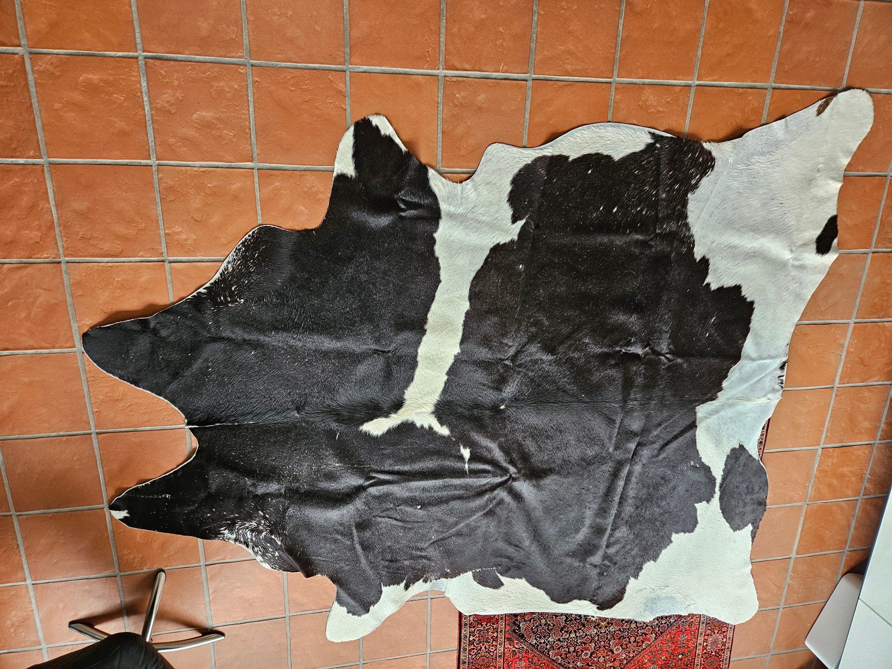 Teppiche: Kuhfell – Gebraucht aus Hünenberg von lexli06 1