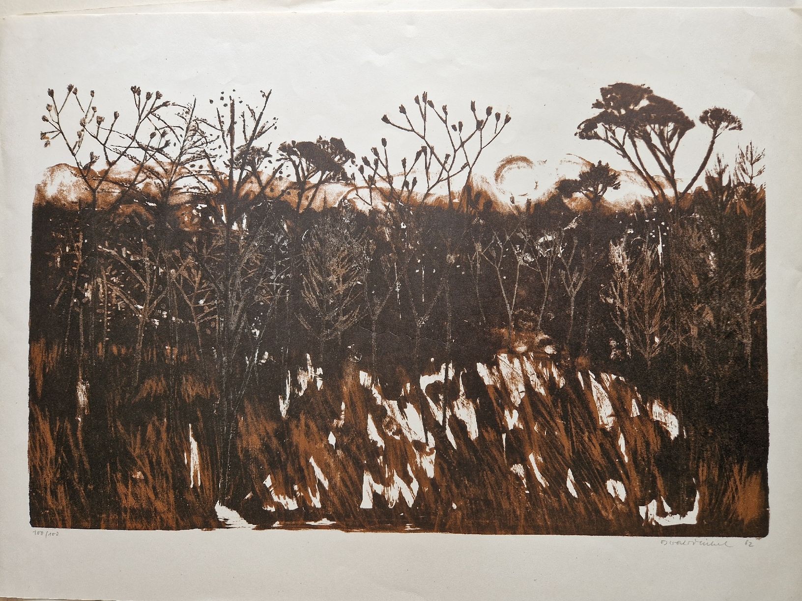 Grafiken & Lithographien: Natur Szeene Lithographie Oswald Michel – Gebraucht aus Locarno von ris_py7x