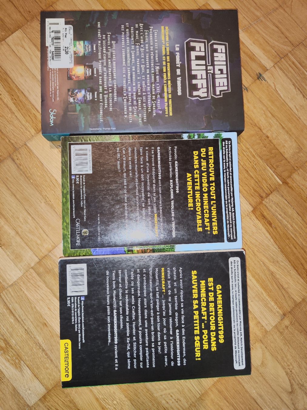 Libri: Lot de 3 Livres Minecraft – Usato da Arconciel venduto da Tilea08 1