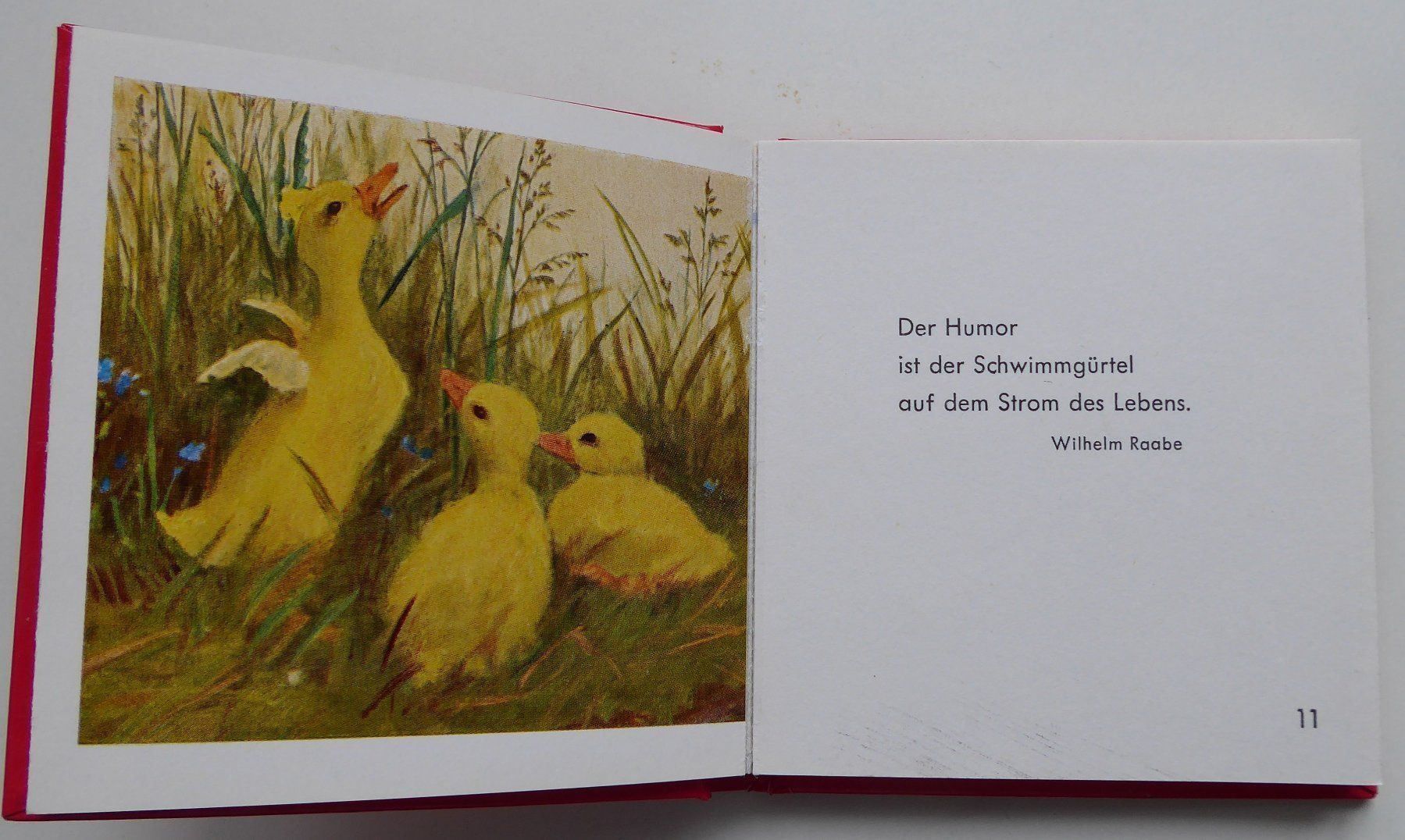 Libri: Verschiedene Geschenkbüchlein – Nuovo (secondo la descrizione) da Wettingen venduto da tonia3 6