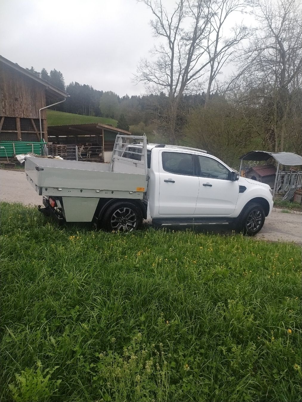 Ford Automobili: Ford Ranger mit Alubrücke – Usato da Biembach im Emmental venduto da Daewoo75 3