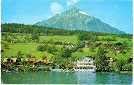 FAULENSEE am Thunersee - Hotel Seerose, Niesen
