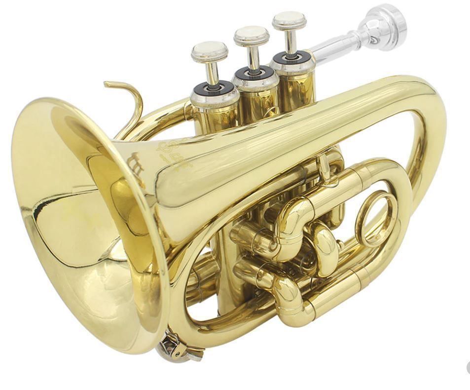 Strumenti musicali: Mini Taschentrompete – Nuovo (secondo la descrizione) da Chur venduto da _xtronix_ 2