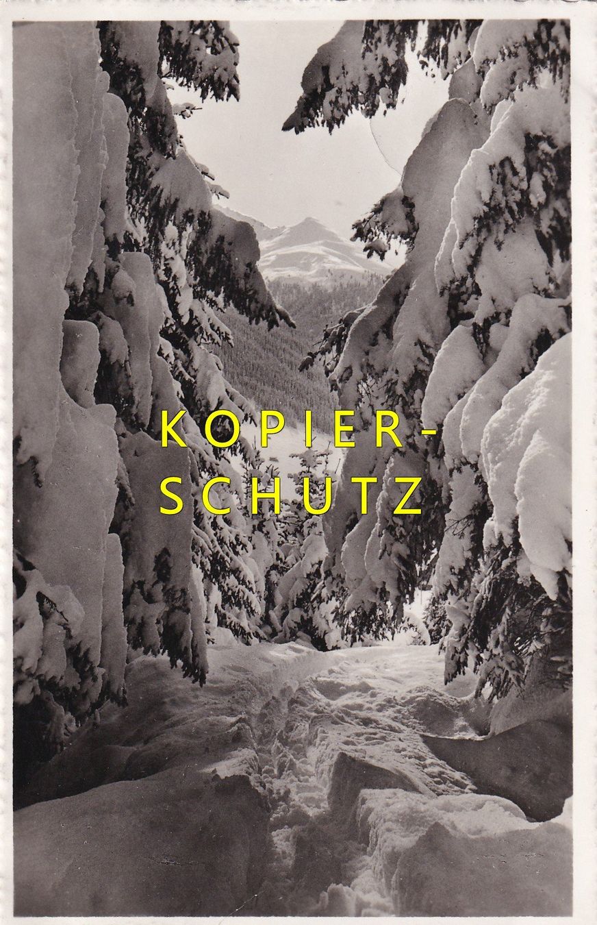 Cartoline postali: Davoser-Winter /bo – Usato da Hombrechtikon venduto da Rudolf07