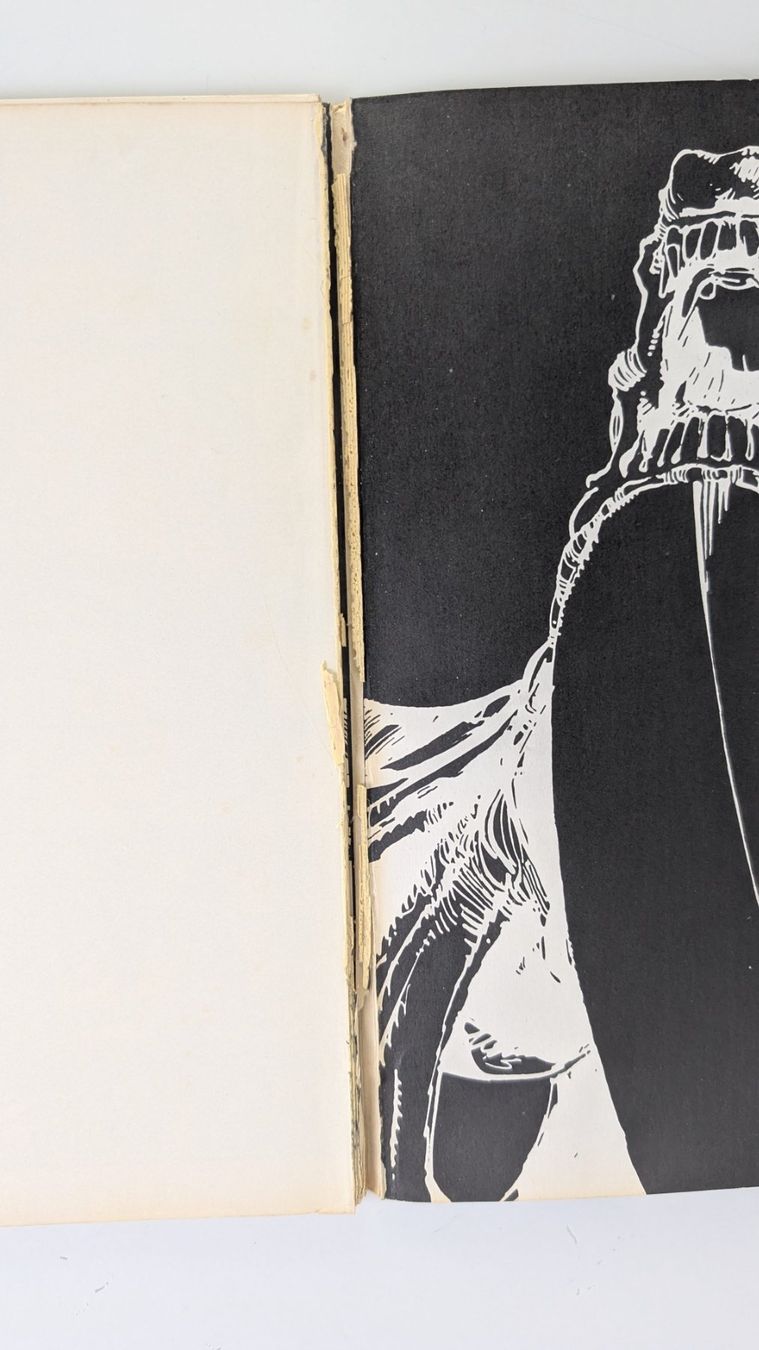 Libri: Alien d. Geschichte im Bild – Difettoso da Zürich venduto da 1.Simon 7