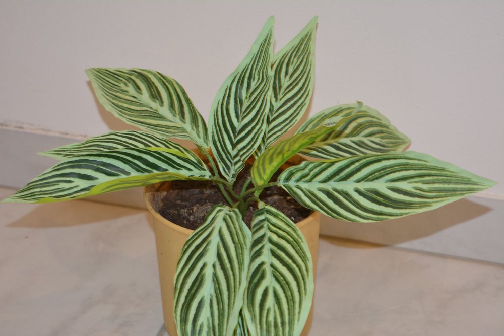 Kunstpflanze Pflanze künstlich Pflanzen + Topf dekoration | Kaufen auf  Ricardo