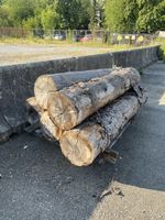 Baumstämme Nadelholz ganzer Posten, Naturholz, Rundholz 