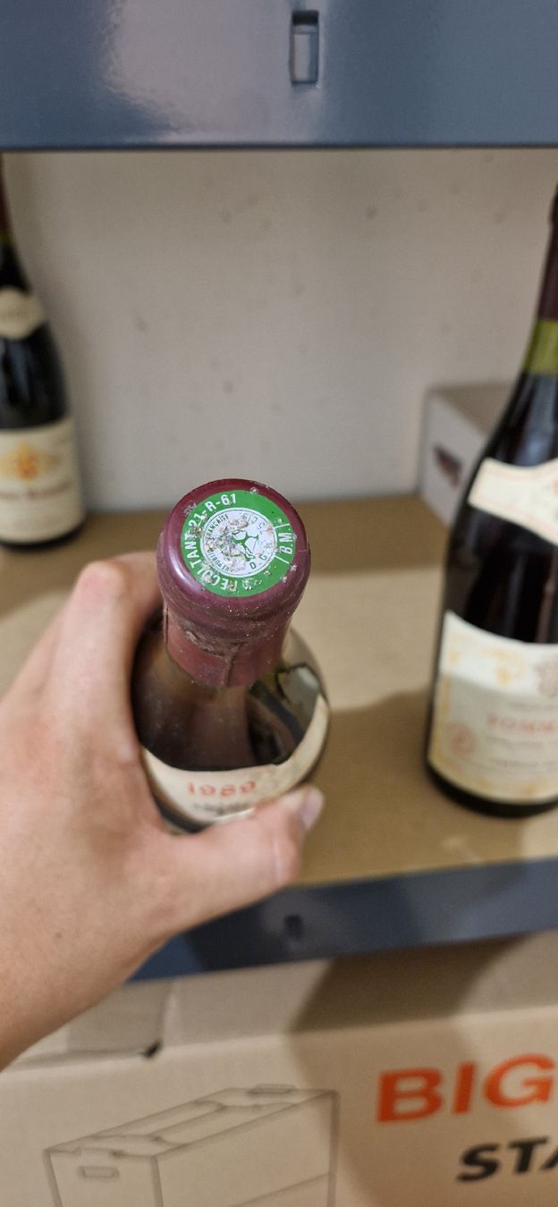 Vino: wein – Nuovo e nell'imballaggio originale da St. Silvester venduto da oel_glv5 1