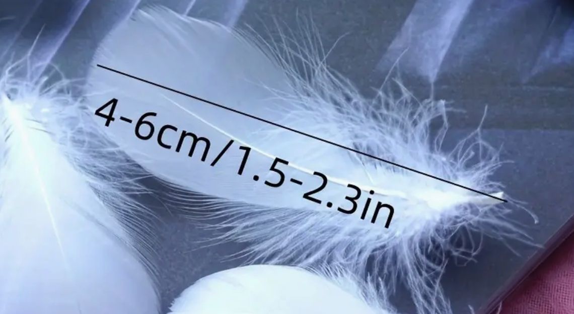 Il mondo degli animali: ca 100 Federn in 4-6 cm – Nuovo e nell'imballaggio originale da Frenkendorf venduto da jazzplatten 1
