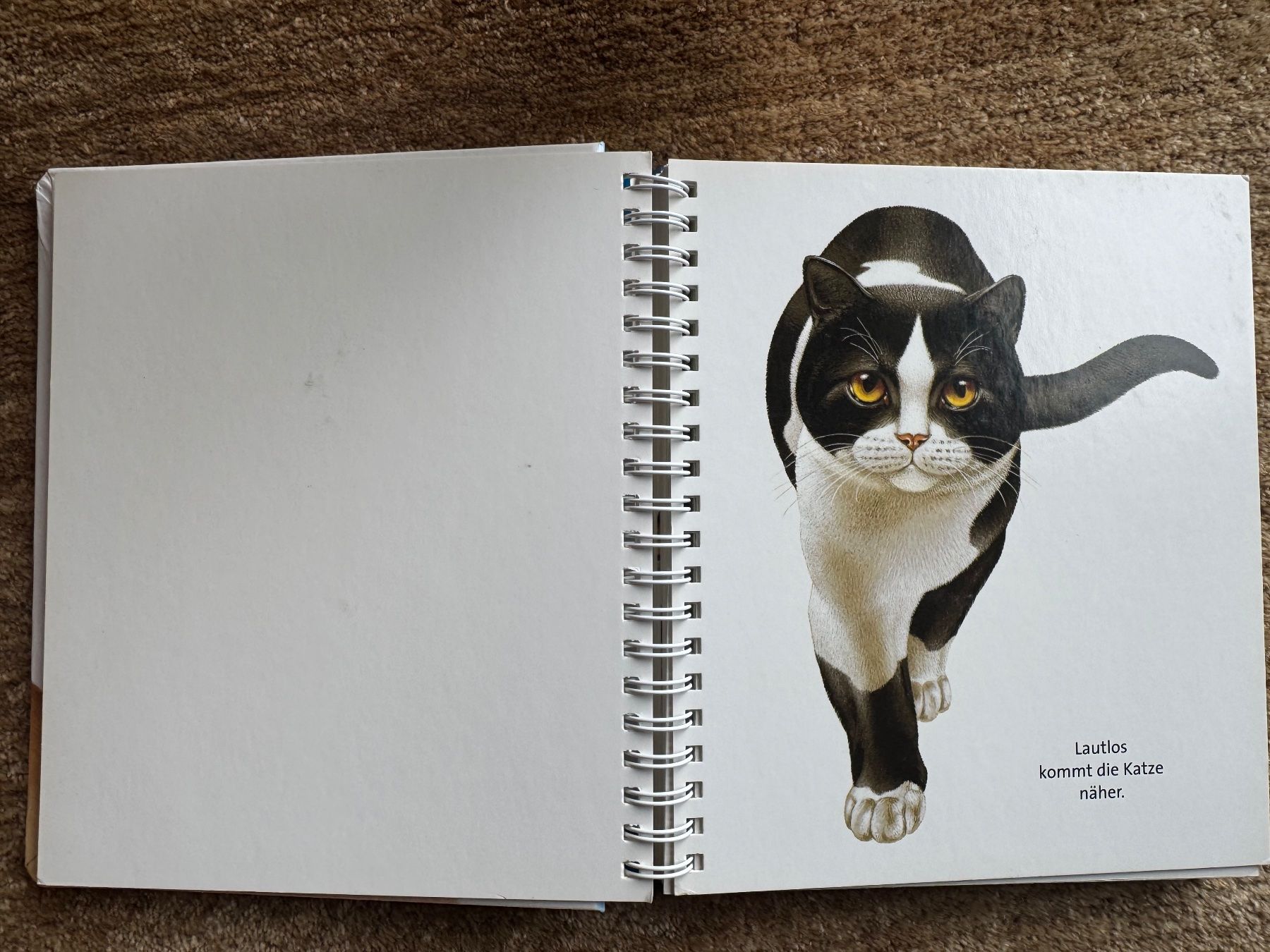 Libri: Meyers - Die Katze – Usato da Aarau venduto da Kilauea 1