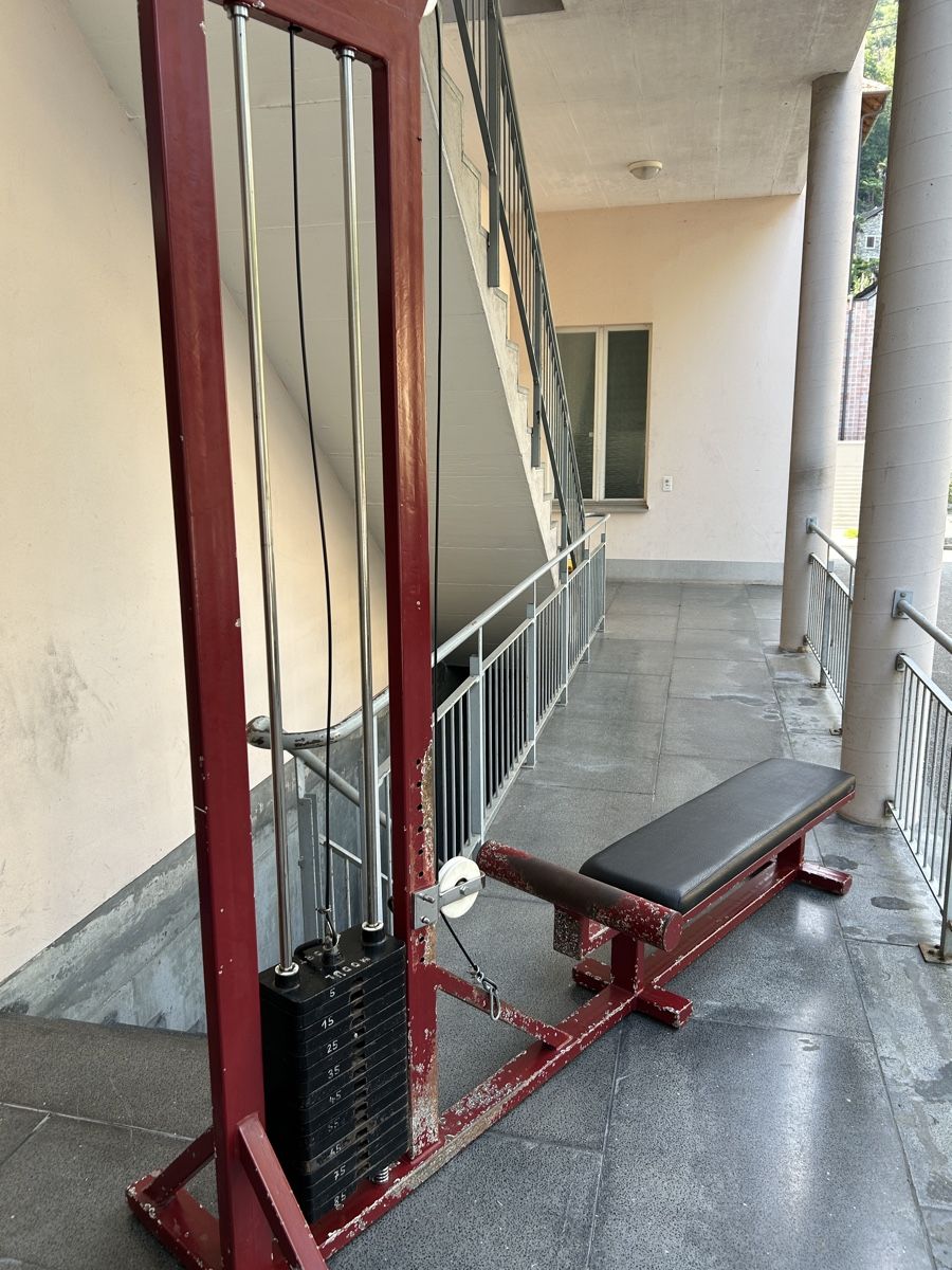 Vélos d'appartement: Pulley machine - Galaxy Sport – D'occasion à Minusio par Berserkr96