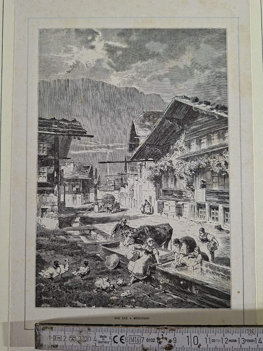 Incisioni: Lot 41 , 5 Stiche  – Usato da Grindelwald venduto da carro5 5
