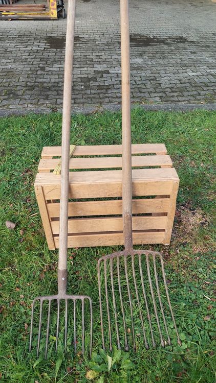 Kartoffelgabel Gabel Kartoffel Drahtgabel Kohlengabel 9 Zinken ohne Stiel .d