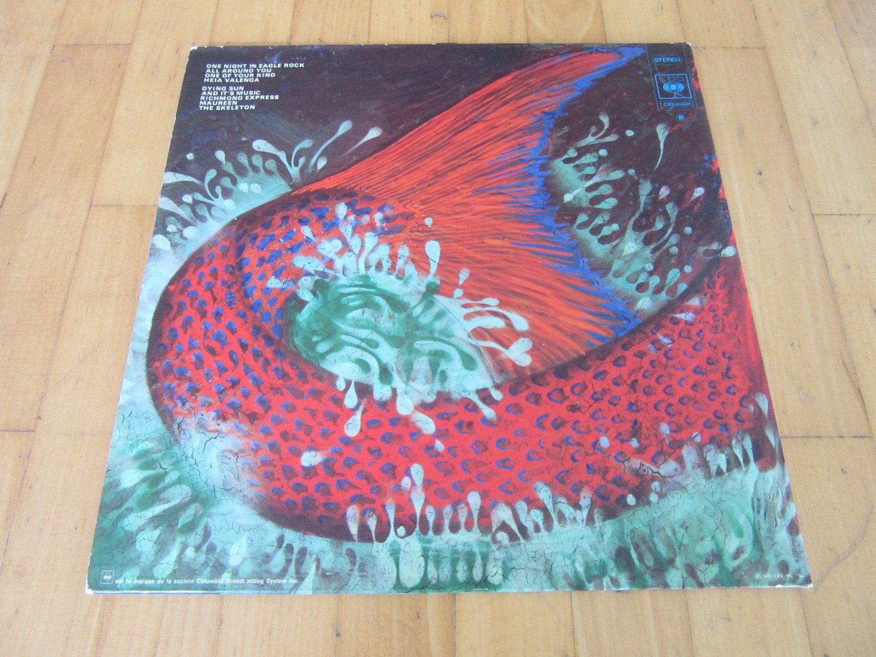 Dischi in vinile: Langspielplatte "TITANIC" - EAGLE ROCK – Usato da Degersheim venduto da Tforelle 1